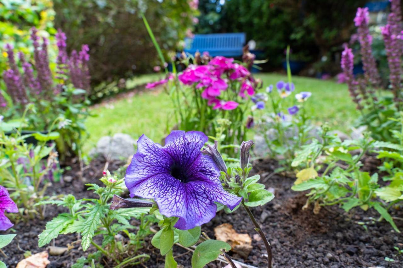 Ferry House Bed & Breakfast Dun Laoghaire Esterno foto