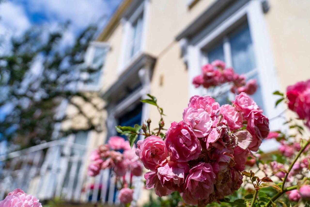 Ferry House Bed & Breakfast Dun Laoghaire Esterno foto